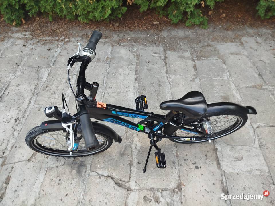 Rower dziecięcy Pegasus koło 20 przywieziono z lubelskie Zamość sprzedam