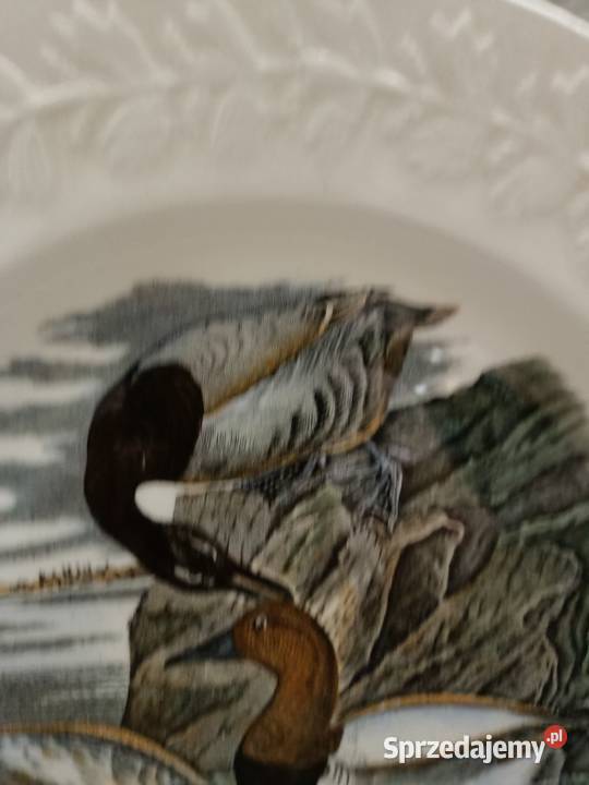 Talerz obiadowy burda America ilustra AUDUBONA lubelskie Zamość