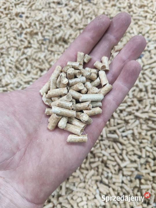 Głowica peleciarki Korpus peleciarka 300340mm Sztum sprzedam