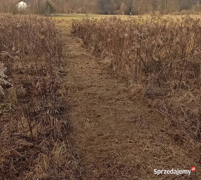 Koszenie trawy nieużytków ugorów zarośli Trojanów