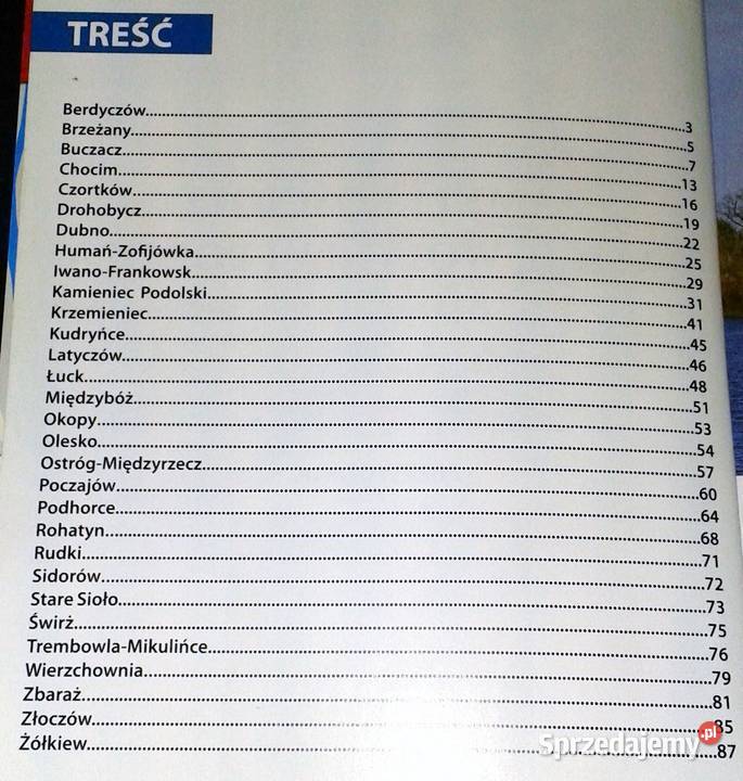 Zamki i kościoły Galicji Wołynia i Podola Taras Chełm