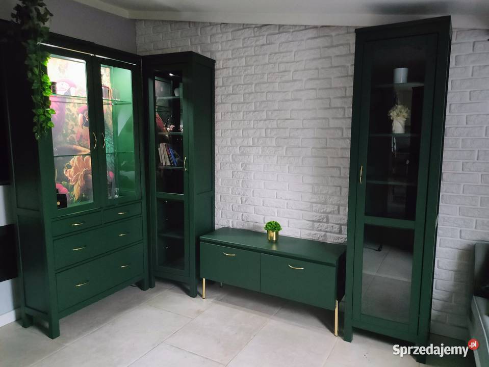 Zestaw niepowtarzalnych mebli wielkopolskie Poznań