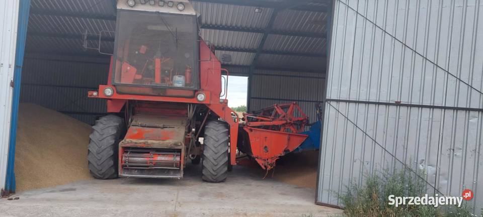 bizon rekord z058 Piotrków Kujawski