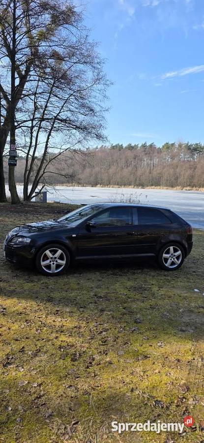 Audi A3 8P 19 Tdi BLS aluminiowe felgi Choszczno sprzedam