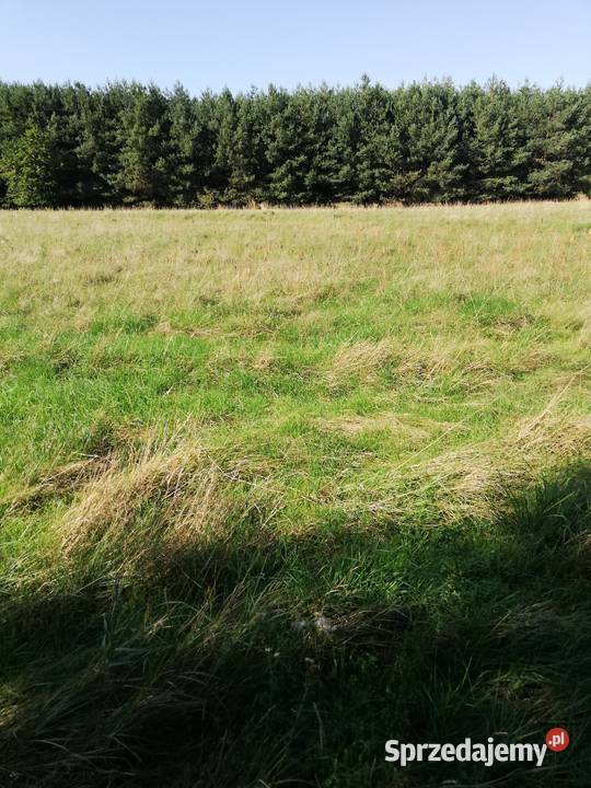 Łąki Pilicą Mogielnica sprzedam