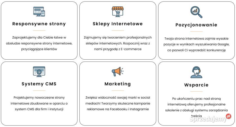 Profesjonalne Strony WWW Sklepy Marketing Biznes i Przemysł