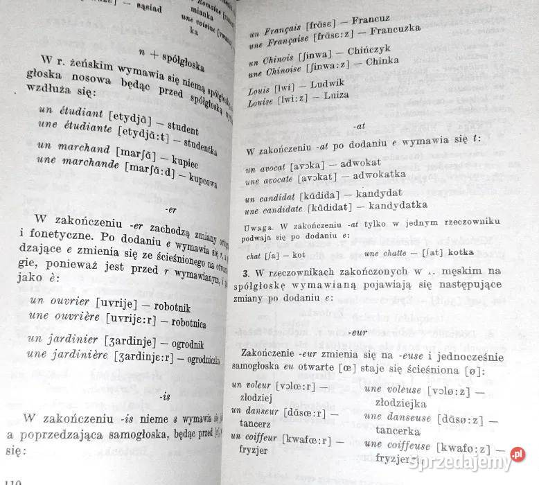 Zarys gramatyki francuskiej Henryk Łebek Chełm