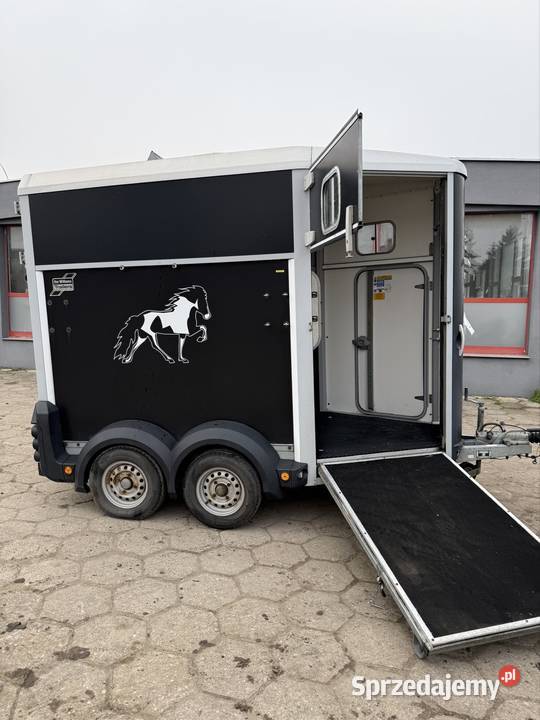 Ifor williams przyczepa do koni 2009r Solnica