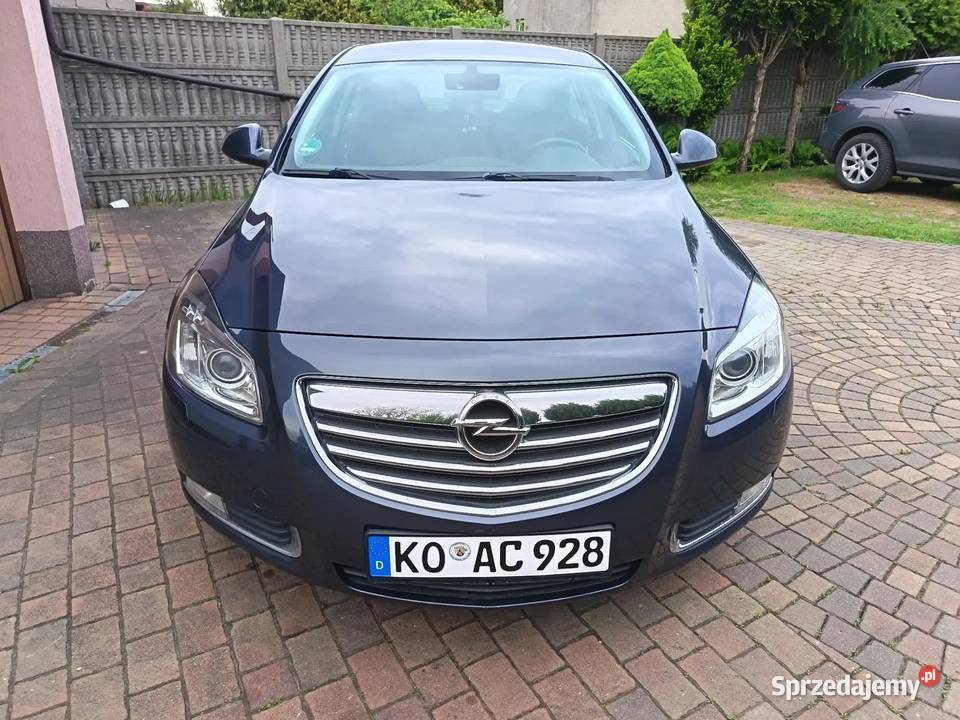 Opel Insignia 220 koni Manual benzyna 20 turbo szary