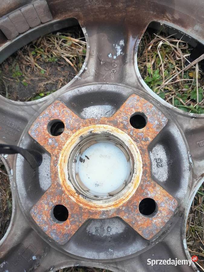 enzo cup 13 cult 126pcorsaunotrabi Gorzów Wielkopolski