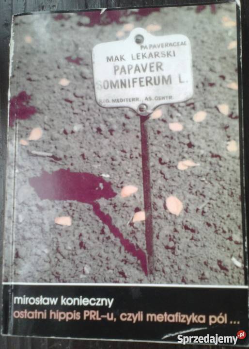 OSTATNI HIPPIS PRLU CZYLI METAFIZYKA PÓŁ Wrocław