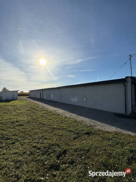 Magazyn 1000 m do wynajęcia Duża działka Pielgrzymowice