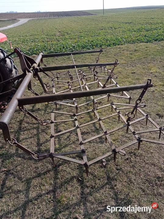 Brony trójki sztywne świętokrzyskie Czerników Karski