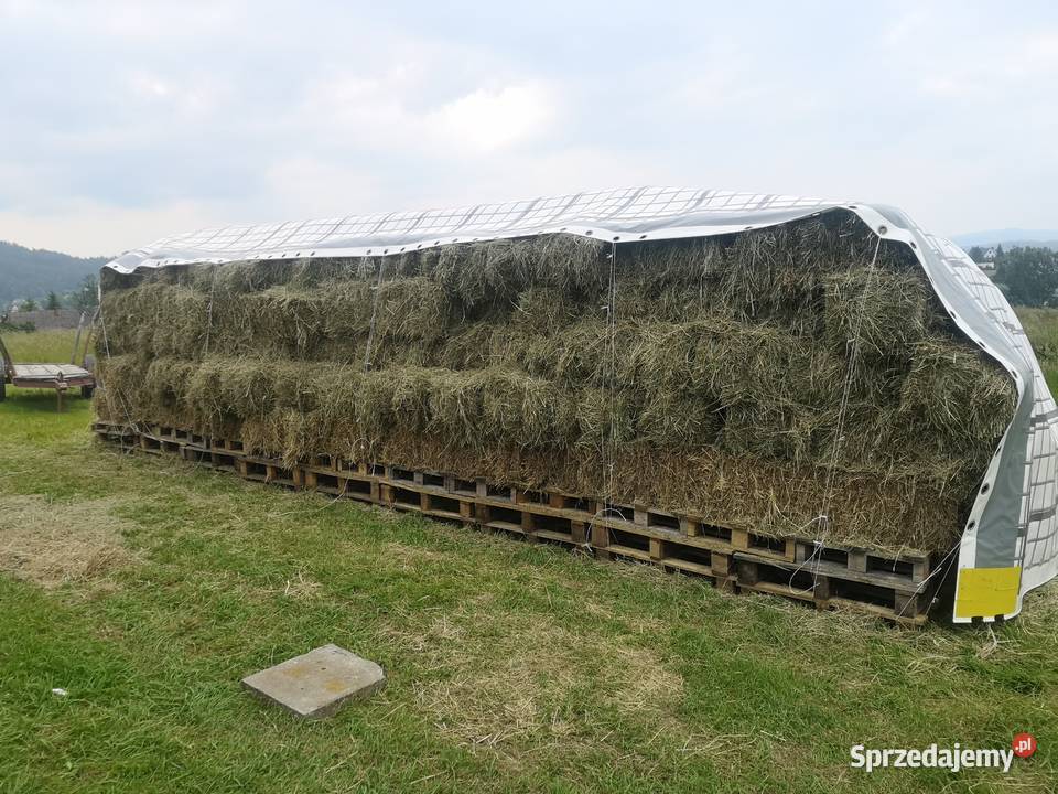 Siano w kostkach 2025 małopolskie Skomielna Biała