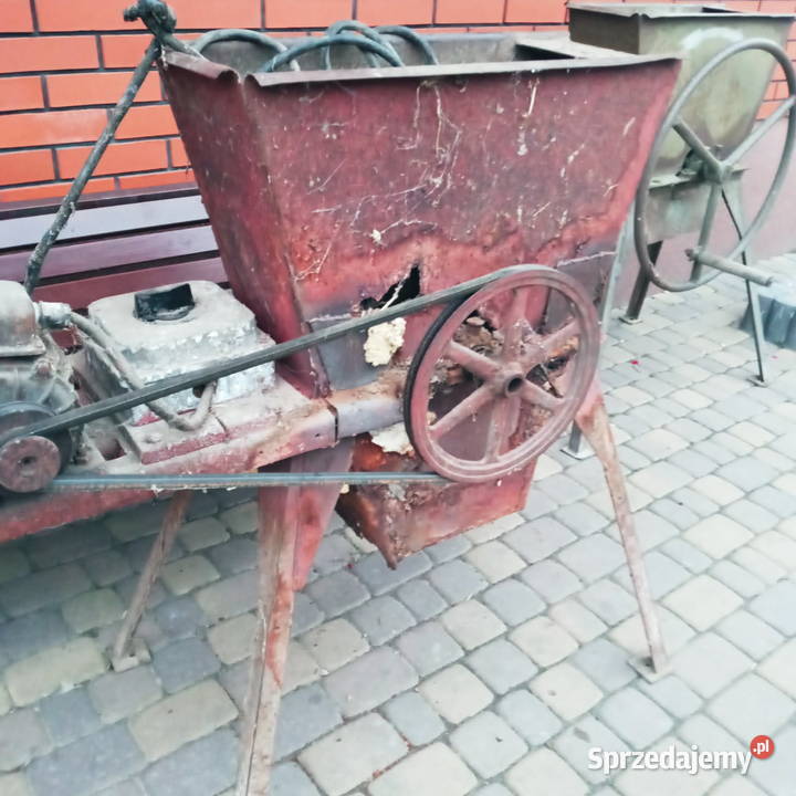 Jemioł Piątek sprzedam