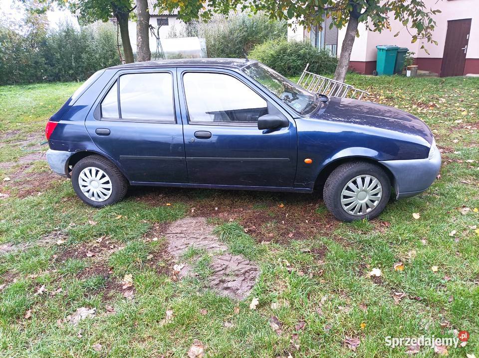 Ford Fiesta wielkopolskie Turek