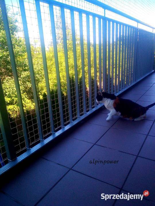 KOCIA SIATKA NA BALKON bezinwazyjny montaż Pozostałe Warszawa