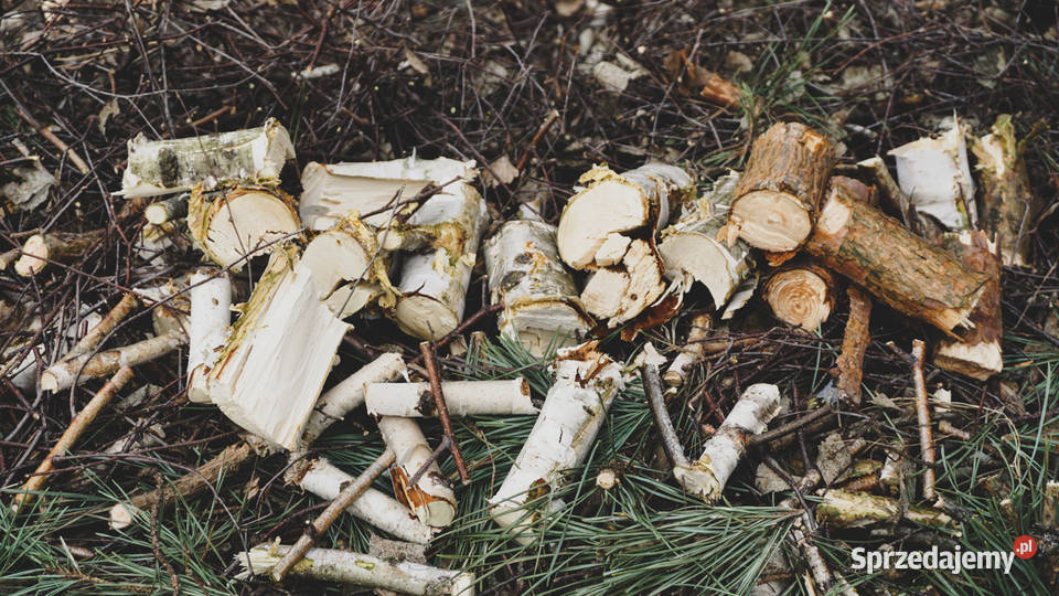 rębak do gałęzi POLSKA PRODUKCJA Kamień