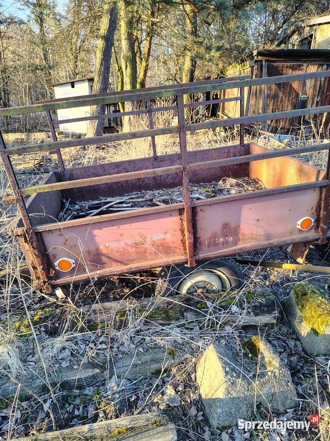 Przyczepa do Rjs 1 Dzik Libiąż