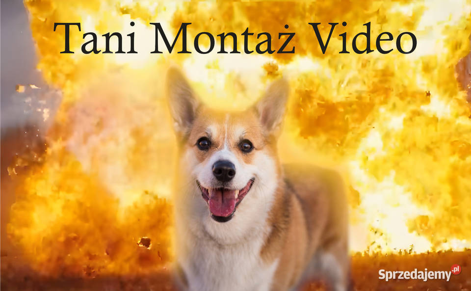 TANI PROFESJONALNY montaż video na każdą kieszeń Warszawa