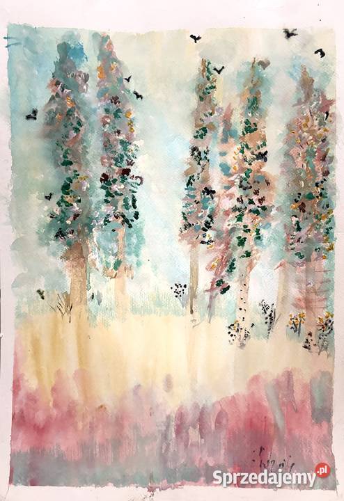 Akrylowy las Duszniki-Zdrój