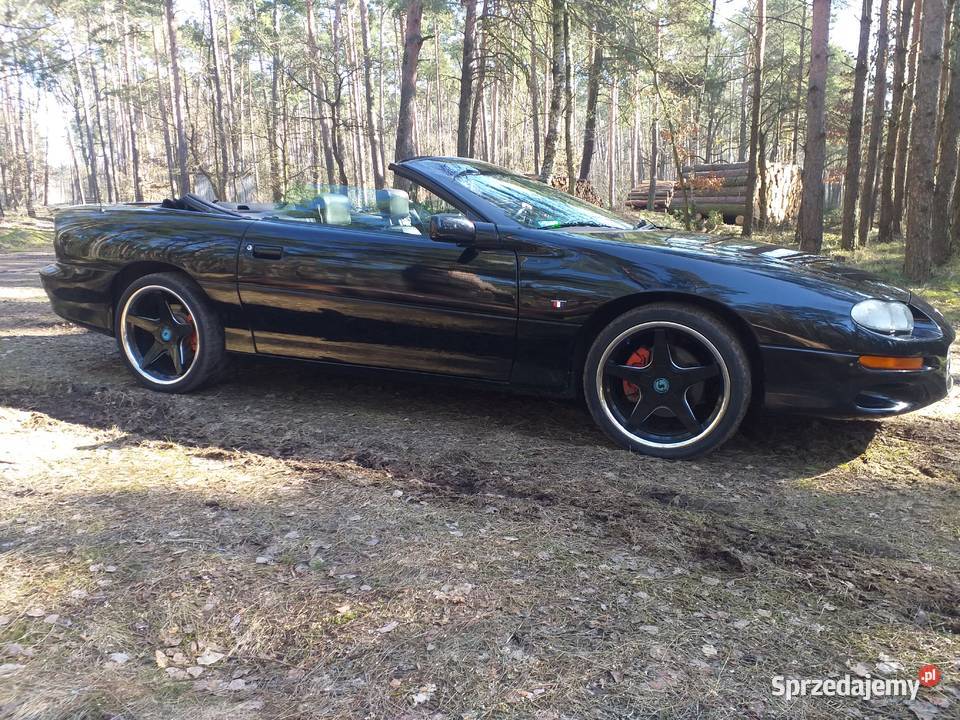 Chevrolet Camaro Cabrio Strzałkowo