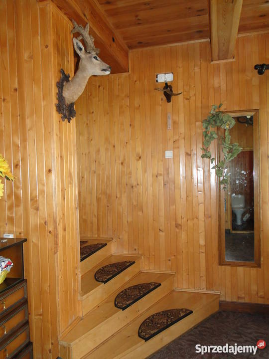 Dom ze stawem siedlisko rekreacja cicha okolica mazowieckie Dawia