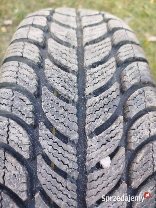 Opony zimowe 1757014 Strzyżewice