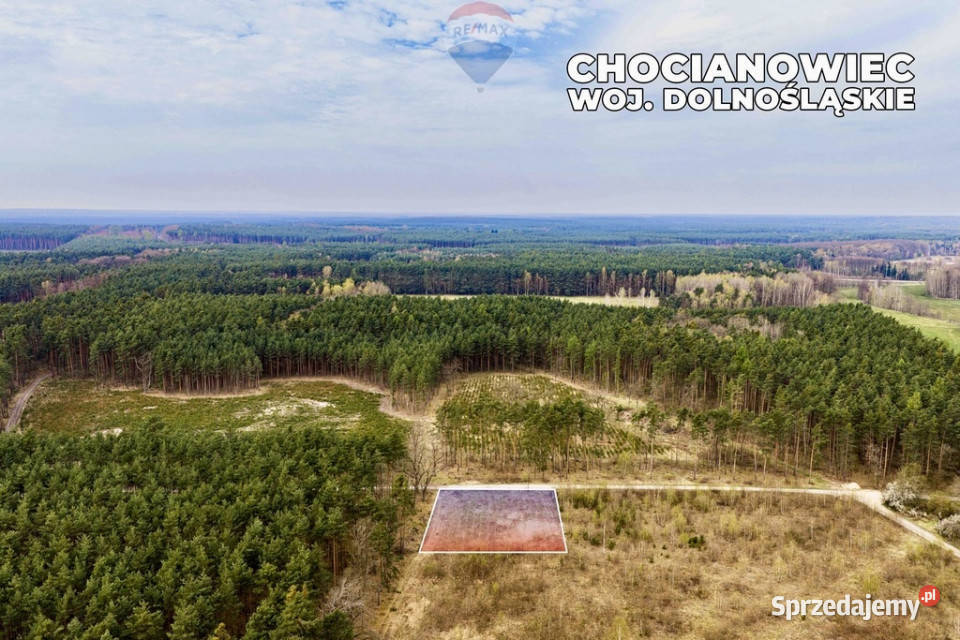 Działka budowlana w bezpośrednim sąsiedztwie Chocianowiec sprzedam