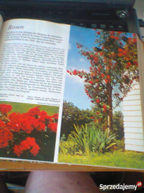 Mehr Freude am Garten Szczecin