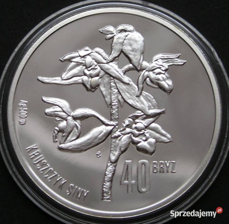 POLSKA 40 BRYZ 2008 SREBRO STAN MENNICZY Łódź