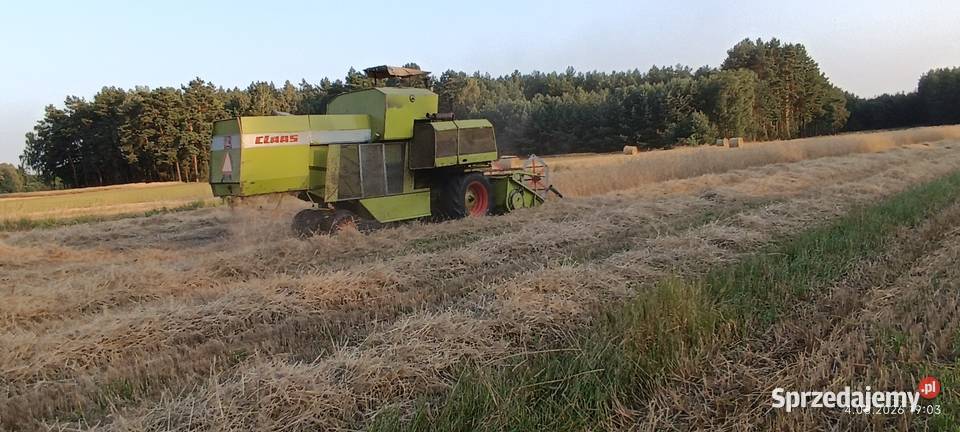 Class Corsar wielkopolskie Grabów nad Prosną sprzedam