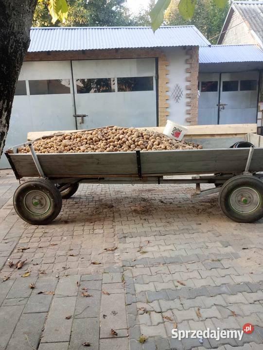 Wóz Huta Skaryszewska