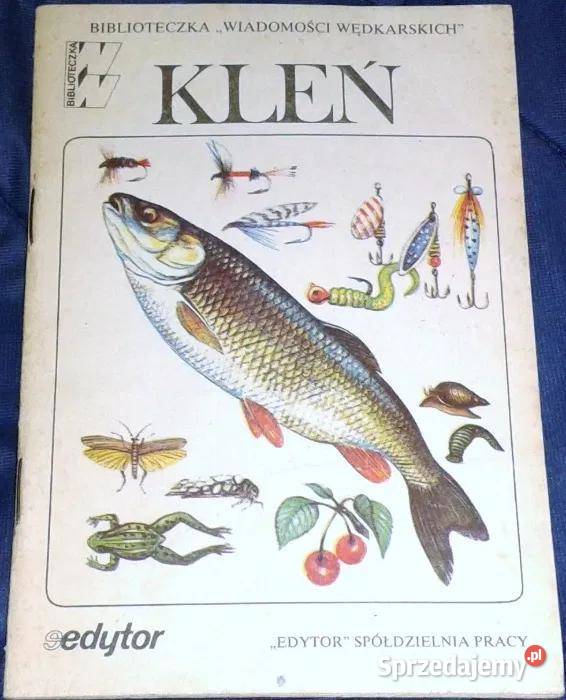 Kleń Stefan Strogulski lubelskie Chełm