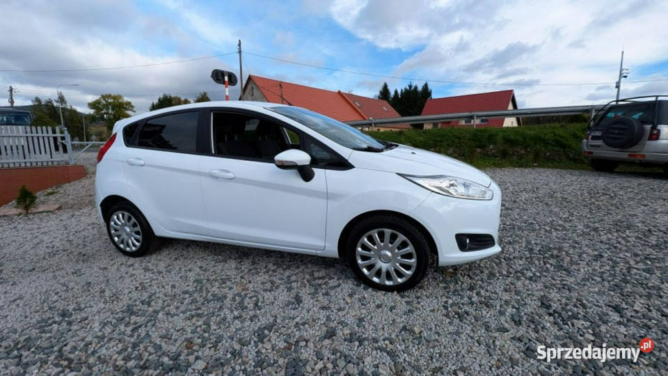 Ford Fiesta 125 benzyna Mk7 2008 60KM Kamienna Góra
