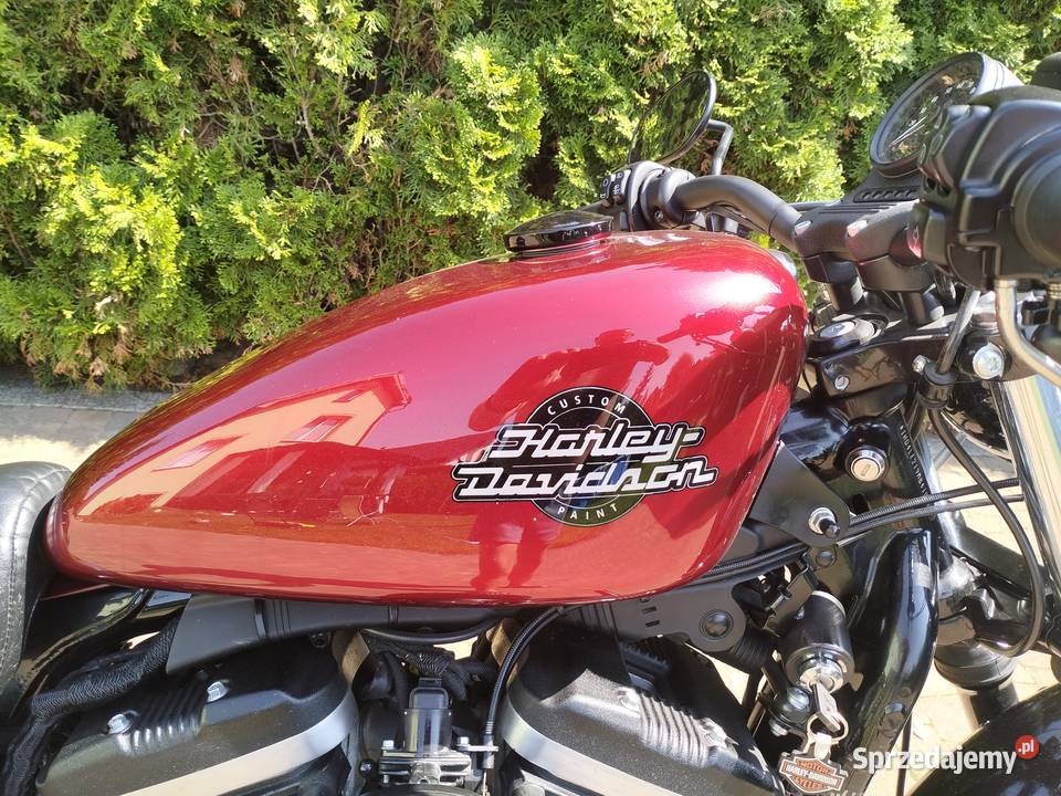 Harley Davidson SportsterIron Harley-Davidson Ostrów Wielkopolski