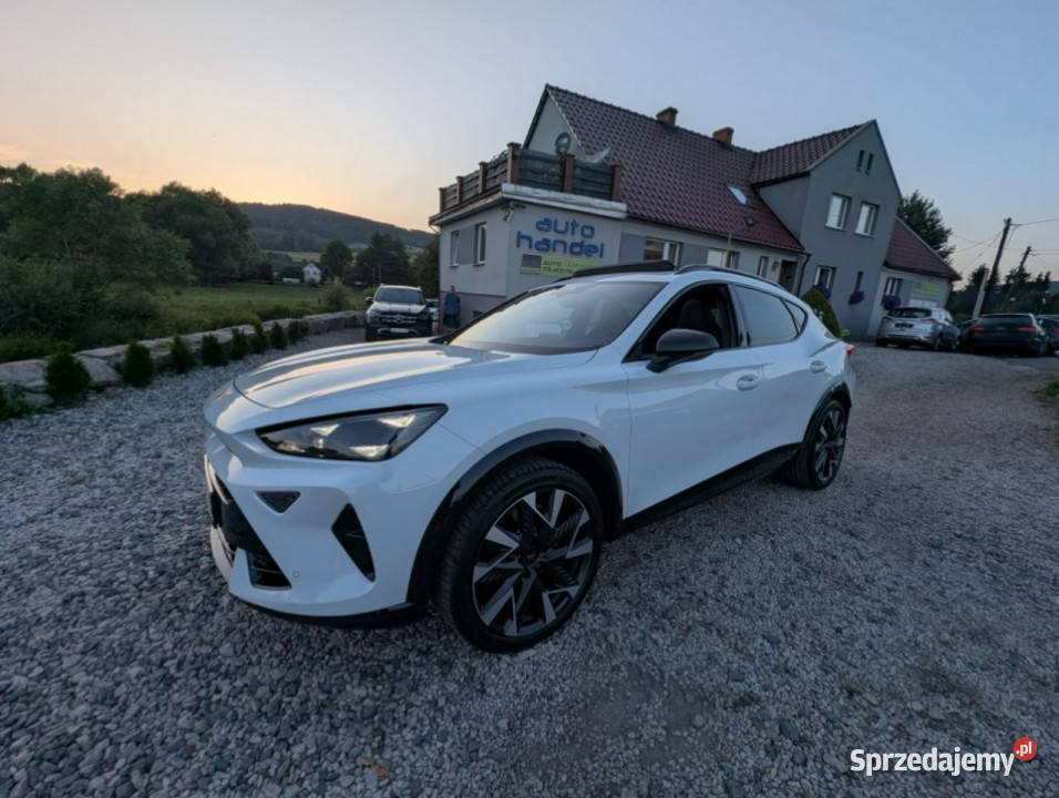 Cupra Formentor Cupra VZ 333 20 TSI 4x4 bogata automatyczna Kamienna Góra