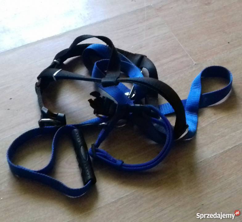 Owczarek niemiecki długowłosy Owczarek Zbydniów