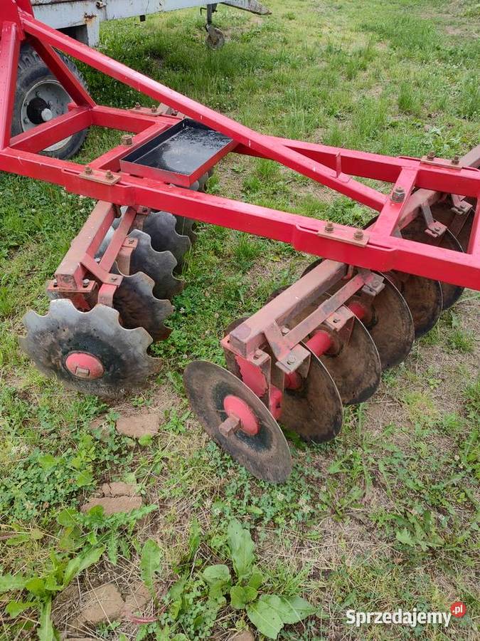 Talerzówka nieuszkodzony świętokrzyskie Śniadka Druga