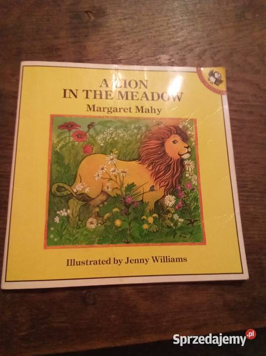 A lion in the meadow angielsku Warszawa