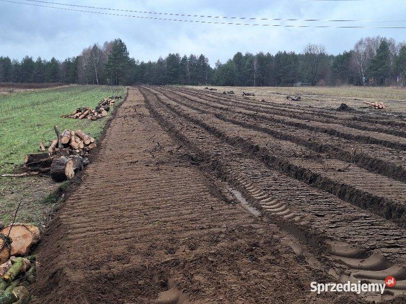 Wycinka drzew Czyszczenie działek Mulczowanie Sosnowiec prace ogrodowe