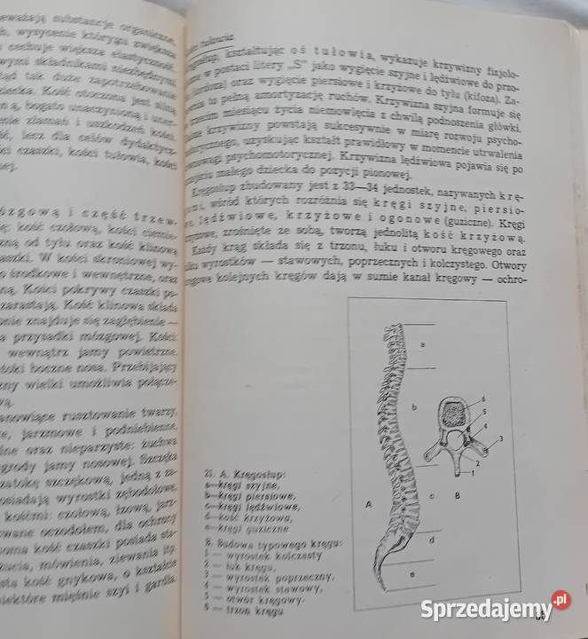 Zbigniew Bartkowiak Biomedyczne podstawy rozwoju Antykwariat Koźminek