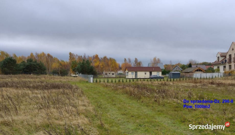 Sprzedam działki w Sasinie koło Łeby Sprzedaż Sasino