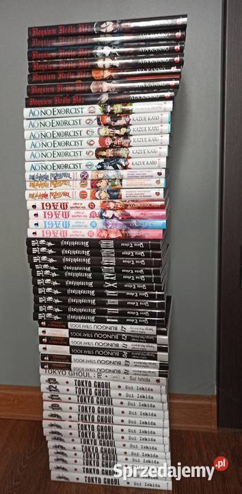 Mangi Waneko Kraków