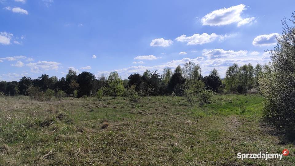 Działka rolna w Myszkowie Nowa Wieś duża 3417m2 Myszków