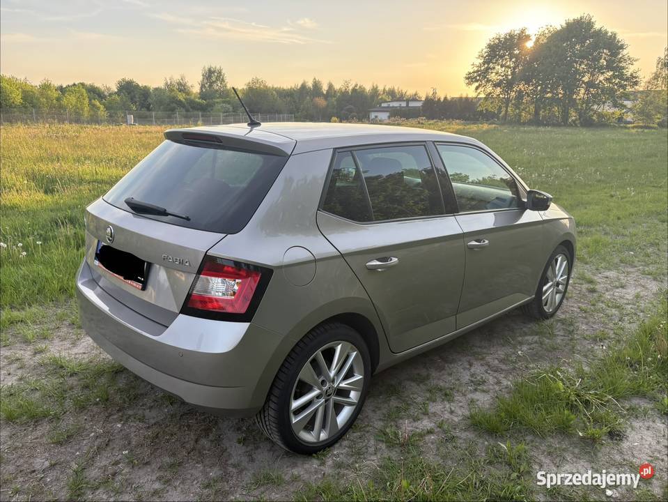 Skoda Fabia 10 MPI 2018 mały przebieg benzyna