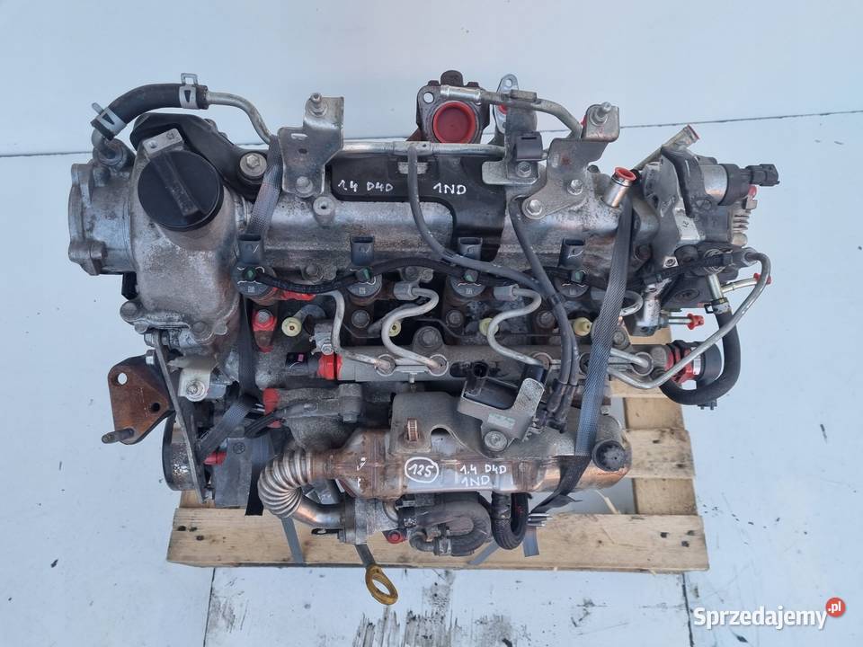 SILNIK Toyota Corolla E12 14 D4D 90 potwierdzone osobowe lubelskie Rudka