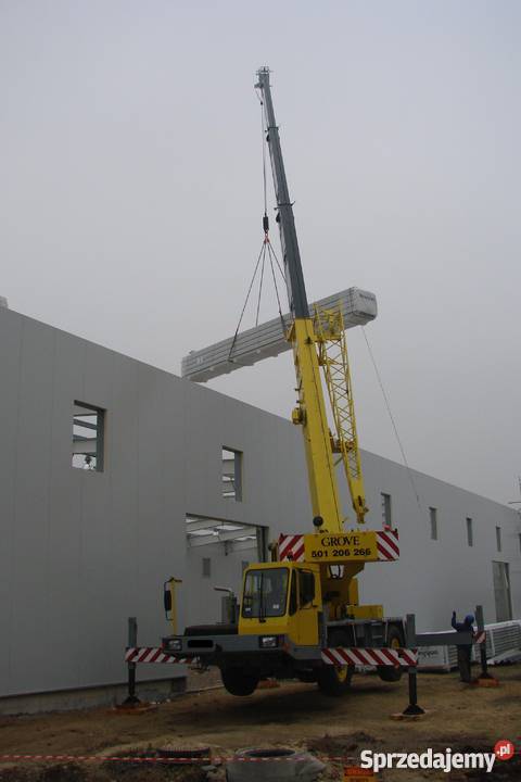 sprzedam dźwig 30 ton wielkopolskie Kalisz