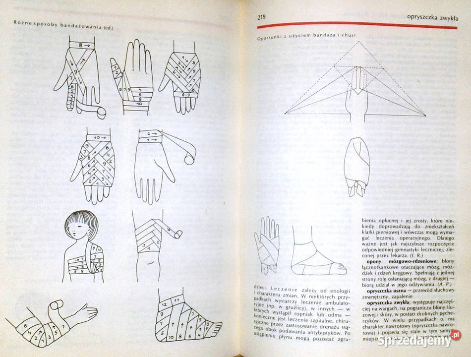 Encyklopedia zdrowia dziecka Opracowanie Chełm