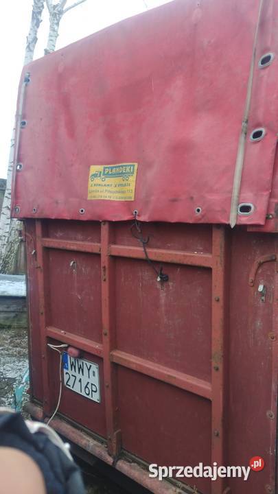 Przyczepka do przewozu konizwierząt tandem Długosiodło